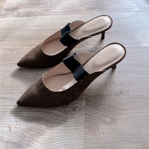 Kitten heel, leopard print mule